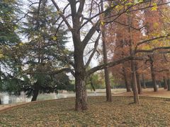 -安徽大学(龙河校区)