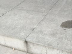-美玲拉面(滨海总店)