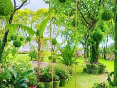 -广东花都香草世界旅游度假区