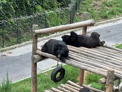 -大连森林动物园