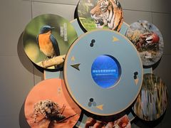 -中国湿地博物馆