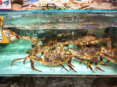 -超级物种·波龙工坊(国贸店)