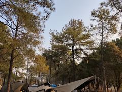 -美兰湖景区