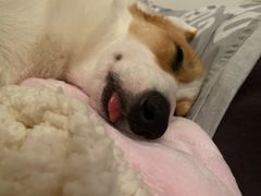 -白兔子密室(长寿路店)