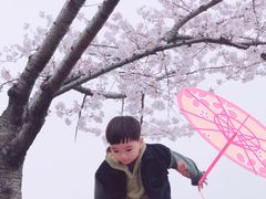 -新江湾城公园