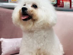 -味多美蛋糕(新和平里店)