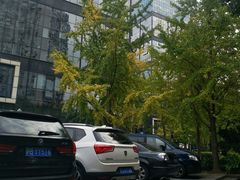 -海上海弘基休闲广场