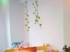 -引领英语·成人口语·雅思托福