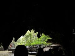 -怀托摩萤火虫洞