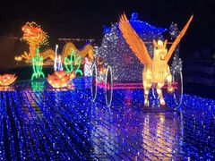 -飞凤山奥体公园