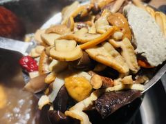 -蘑界·野生菌火锅(深业上城店)