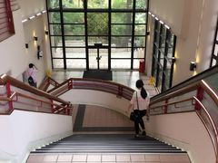 -香港大学