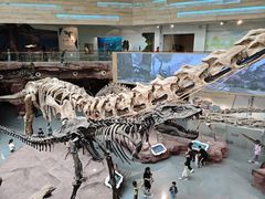 -安徽省地质博物馆