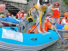 -安吉龙王山峡谷漂流