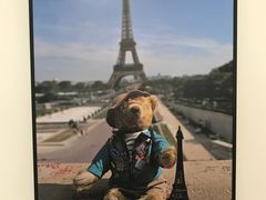 -济州岛泰迪熊博物馆