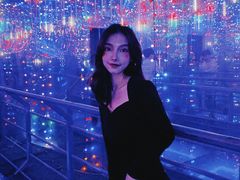 -巨鹏飞梦幻海岸