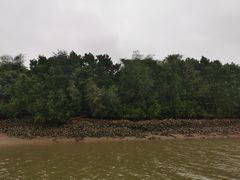 -东寨港红树林旅游区