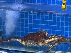 -前王院•巧克力海鲜市集餐厅(万平口店)