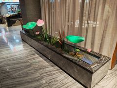 -不倒翁·安徽名菜楼(步行街店)