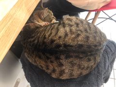 -ID.PHOTO照相馆(嘉里企业中心店)