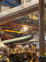 -卡通尼·Safari非洲探索乐园·生日会(金桥国际商业广场店)