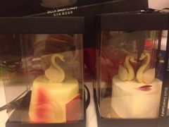 iphone_upload_pic-BLACKSWAN黑天鹅(环球店)