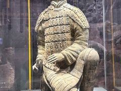 -秦始皇帝陵博物院(兵马俑)
