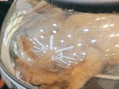 -联合动物医院(光谷诊疗中心)
