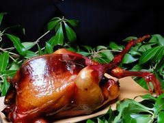 -蝶舍·MAISON PAPILLON