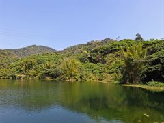 -黄埔油麻山森林公园