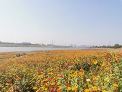 -佛山市三水温泉度假村