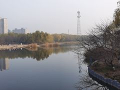 -大兴滨河森林公园