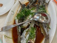 -益利大酒楼(井岸店)
