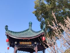 -无锡梅园公园