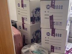 -骆驼日式搬家收纳整理