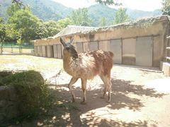 -西安秦岭野生动物园