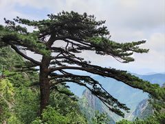 -黄山风景区