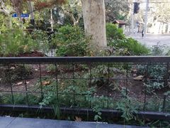 -曼曼汤包(建国西路店)