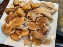 -蘑统田下·野生菌火锅