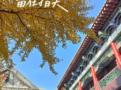 -长安寺