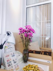 -绘甲社NACHO&DAI SALON