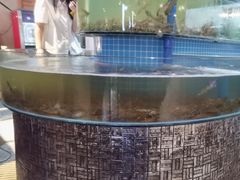 -蓝珊甄选海鲜自助·火锅大排档(近阿那亚店)