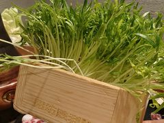 -阳坊胜利涮羊肉(阳坊总店)