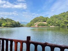 -广州市石门国家森林公园