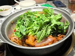 -禄婶鸡煲·打边炉