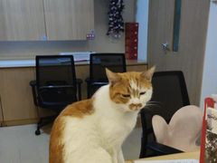 -首开寸草亚运村养老院
