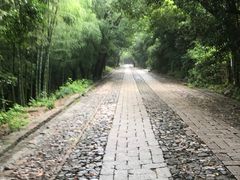 -紫金山天文台