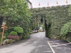 -巴倒烫陆派重庆火锅(南山店)