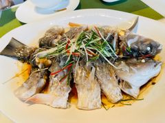 -桃源咖啡厅(武夷山大红袍山庄店)