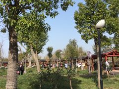 -灵山莲花公园-温泉度假区